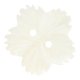 2-Loch Perlmuttknopf in Blütenform 15 mm, weiß