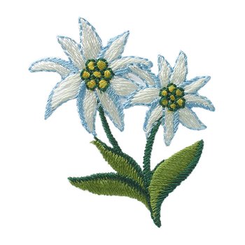 Edelweiss, 4 x 5 cm
