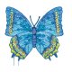 Schmetterling, blau, 7,5 x 7 cm